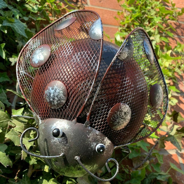 Metal Climbing Rustic Ladybird Sculpture