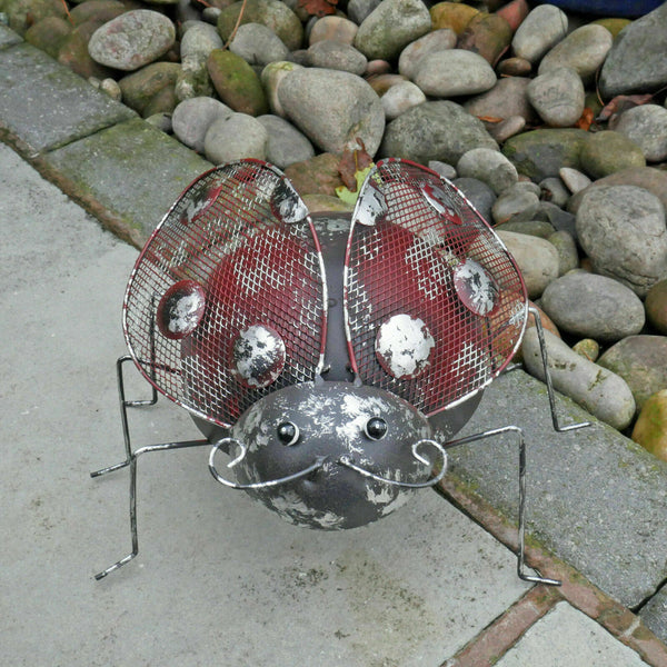 Metal Climbing Rustic Ladybird Sculpture