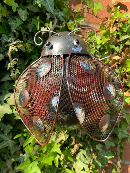 Metal Climbing Rustic Ladybird Sculpture