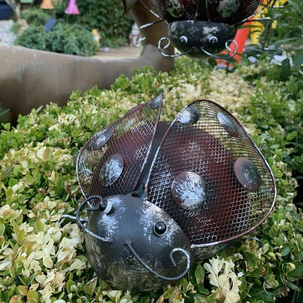 Metal Climbing Rustic Ladybird Sculpture
