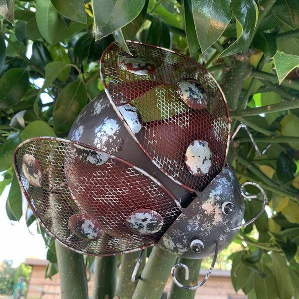 Metal Climbing Rustic Ladybird Sculpture