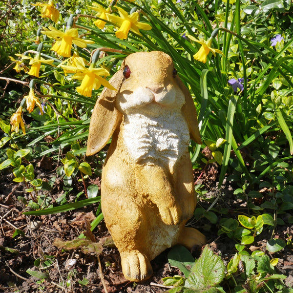 Lop Eared Rabbit Garden Sculpture - Tan