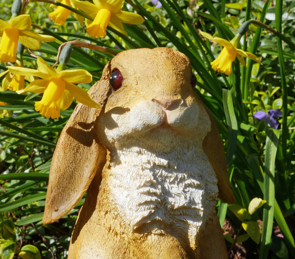 Lop Eared Rabbit Garden Sculpture - Tan