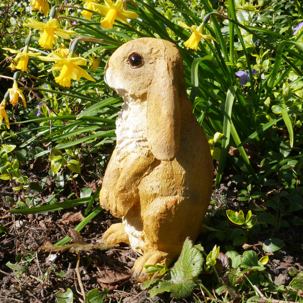 Lop Eared Rabbit Garden Sculpture - Tan