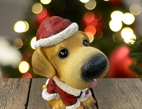 Golden Retriever in Santa Suit Costume