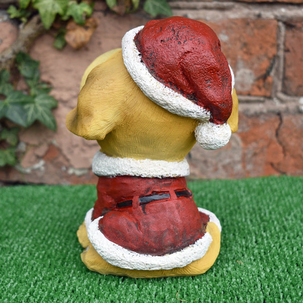 Golden Retriever in Santa Suit Costume