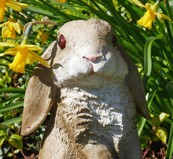 Lop Eared Rabbit Garden Sculpture - Grey