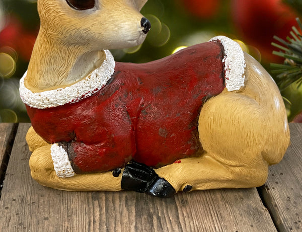 Fallow Deer in Santa Suit Costume