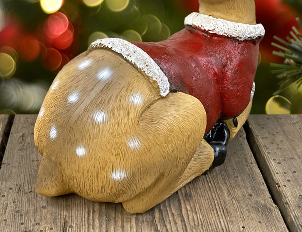 Fallow Deer in Santa Suit Costume