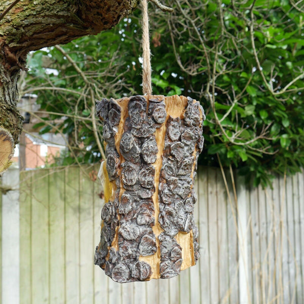 Tree Stump Shape Nesting Box / Bird House