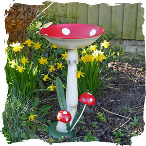 Shop Animal Feeder