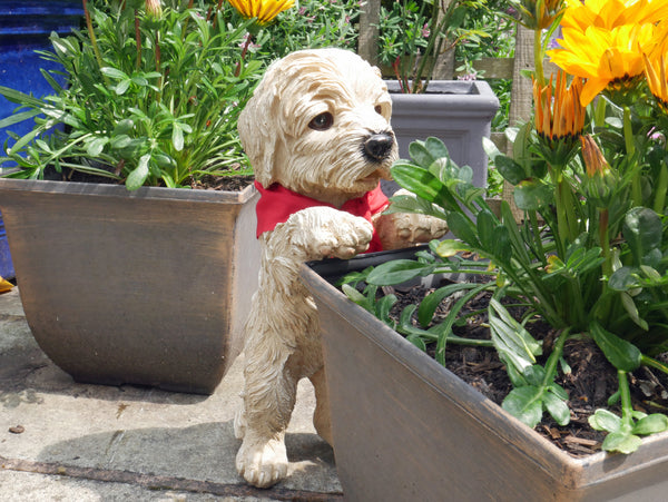Peeping Puppy Standing Dog Sculpture - Terrier