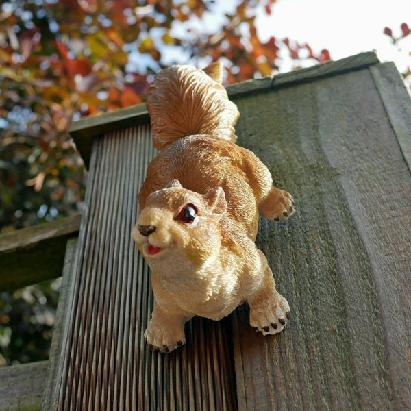Climbing Red Squirrel Hanging Sculptures
