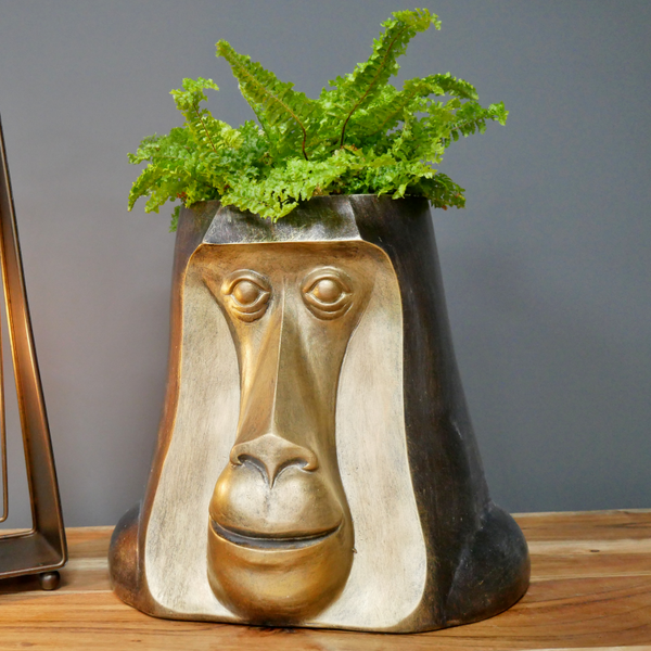 Monkey Face Planter Indoor Plant Pot