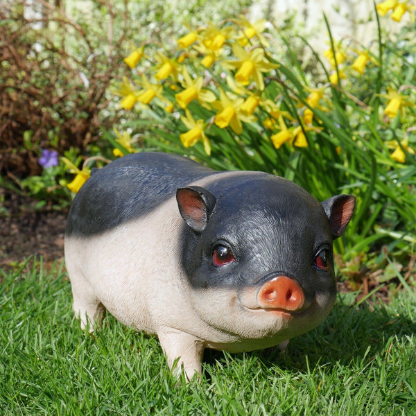 Pig Sculpture Resin Piglet Garden Ornament Patio Statue Farmyard Black Patch New