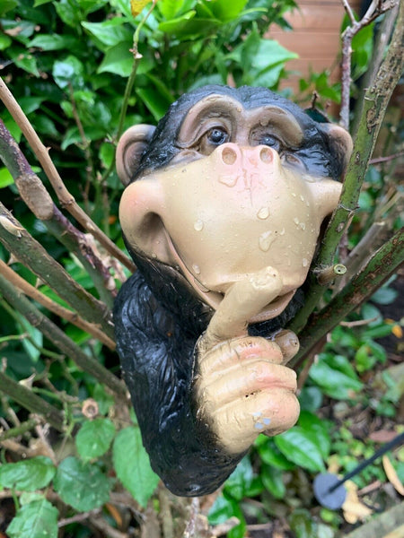 Peeping Monkey Hanging Garden Sculpture - SPEAK NO Evil