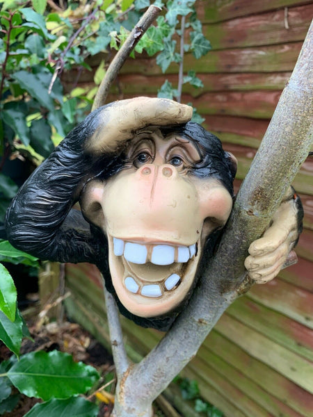 Peeping Monkey Hanging Garden Sculpture - SEE NO Evil