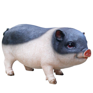 Resin Pig Figurine -  UK