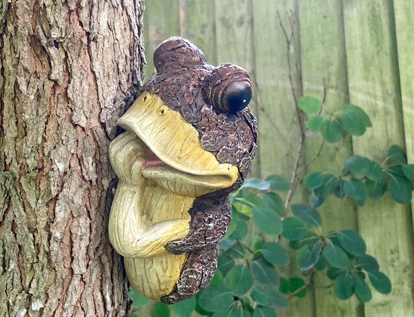 Peeping Frog Tree Hugger Sculpture