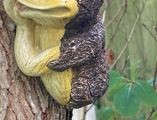Peeping Frog Tree Hugger Sculpture