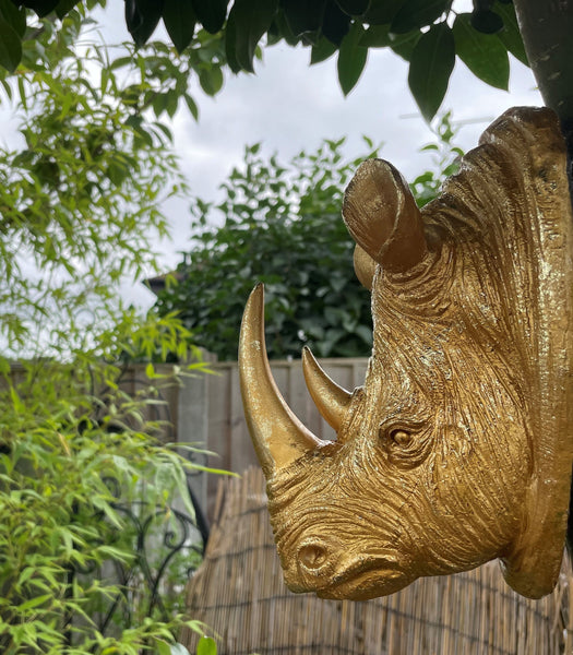 Rhino Head Wall Sculpture - Gold