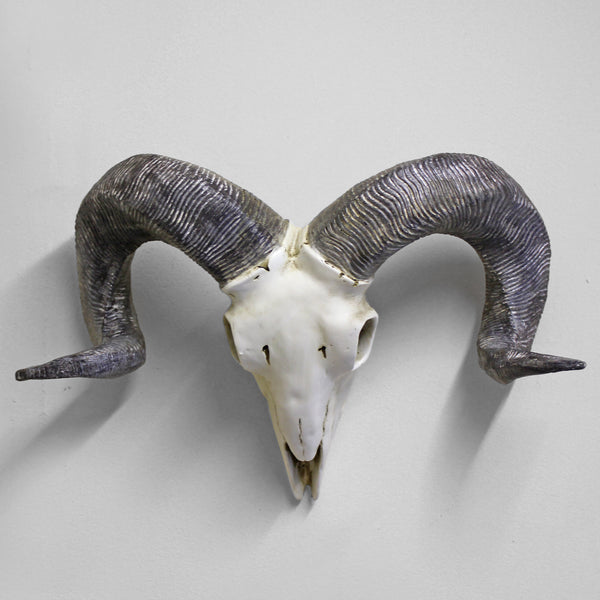 Ram Skull Animal Head Hanging Sculpture