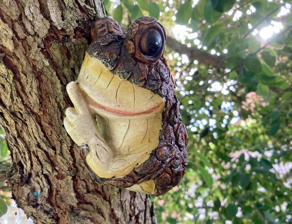 Shhh Quiet Frog Peeping Tree Hugger Sculpture
