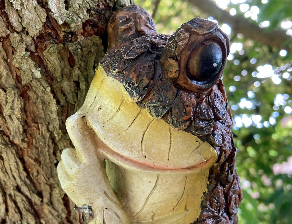 Hugger Tree Frog Shhh Quiet Frog Peeping Tree Hugger Sculpture – Back to Home