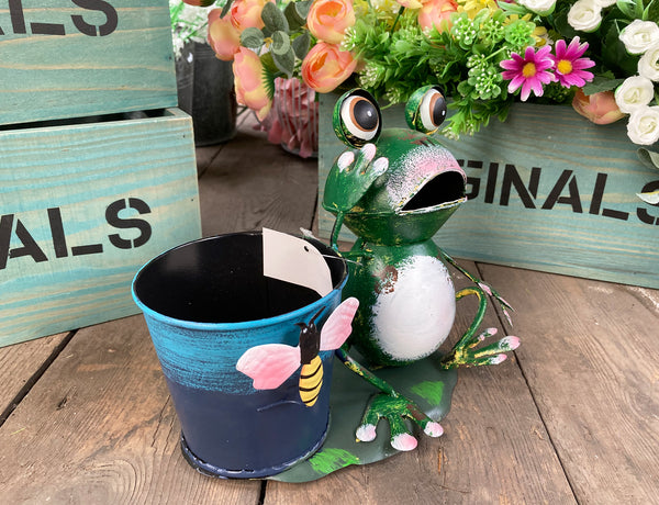 Green Frog on Lily Ornamental Plant Pot