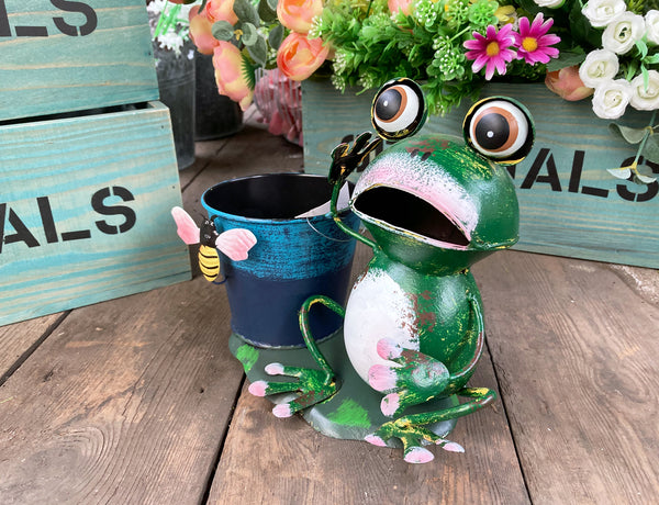 Green Frog on Lily Ornamental Plant Pot
