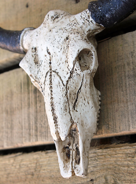 Small Buffalo Skull Head Hanging Sculpture