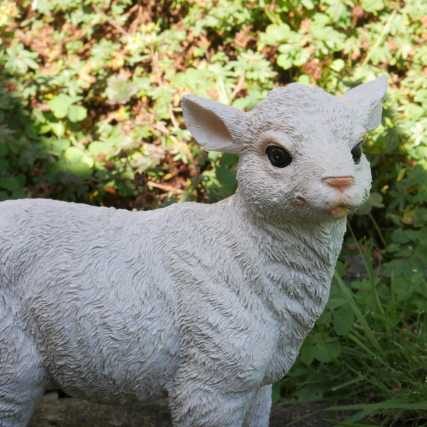 Small White Lamb Farmyard Garden Sculptures