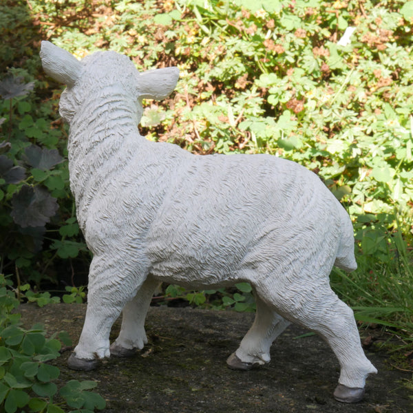 Small White Lamb Farmyard Garden Sculptures