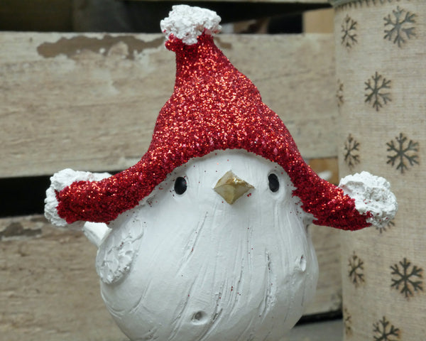 Christmas Bird with Red hat