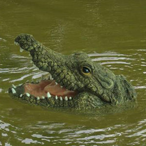 Floating Crocodile Head Garden Sculpture