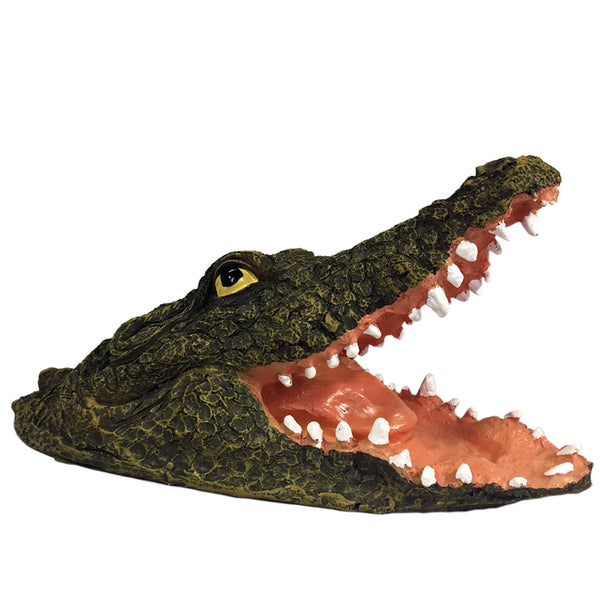 Floating Crocodile Head Garden Sculpture